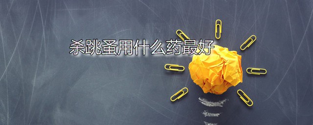 杀跳蚤用什么药最好 用药杀跳蚤的方法分享