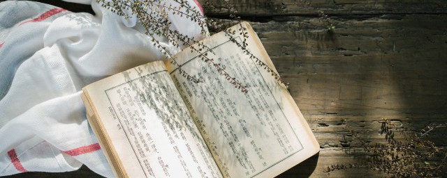 卫青与霍去病什么关系 关于卫青与霍去病