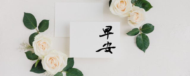怎么说早安最撩人 早安最撩人句子精选