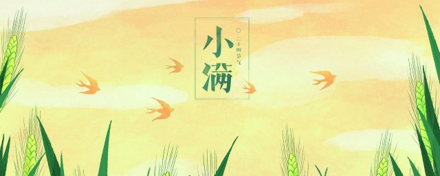 小满养生应该注意些什么 小满养生要注意哪些
