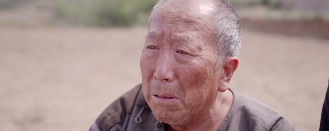 老农民电视剧剧情介绍 老农民电视剧讲的什么