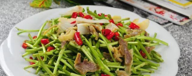 黎蒿菜怎么炒 家常菜黎蒿炒肉丝