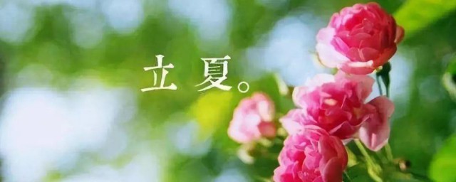 立夏小报 立夏小报写什么