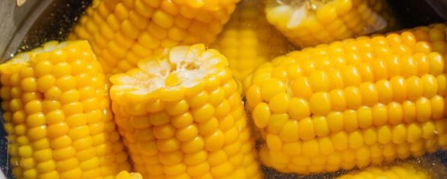 玉米冷水下锅煮几分钟 玉米冷水下锅煮多少分钟