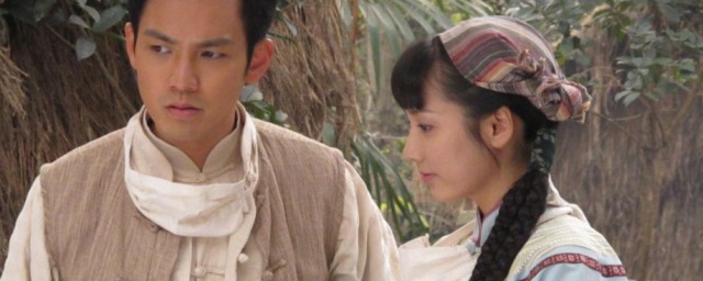 菩提树下剧情简介 菩提树下简单介绍
