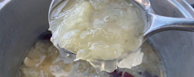 破壁机打银耳出胶吗 泡发银耳的时候用什么水呢