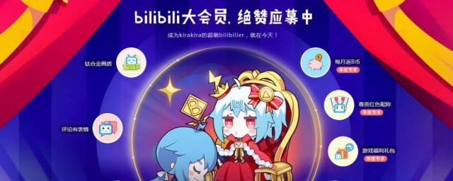 bilibili大会员可以几个人一起用 bilibili大会员可以登几个