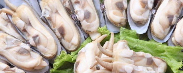 蛏子如何去沙 蛏子怎么去沙
