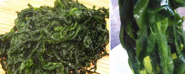 裙带菜泡发多久 裙带菜泡发时间