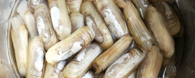 怎么做好吃的蛏子 蛏子家常做法