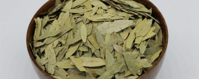 番泻叶茶的功效与作用 番泻叶茶的功效与作用是什么