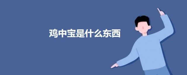 鸡中宝是什么东西 鸡中宝的简介