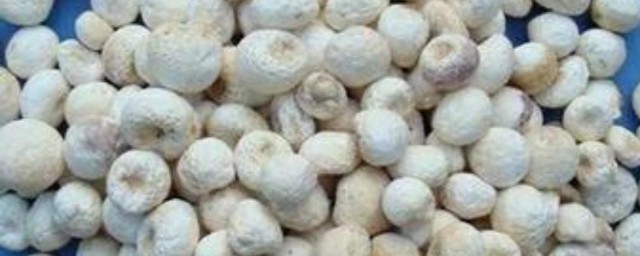 半夏的分类 半夏有哪些品种?