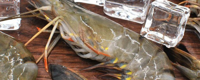 虾喂料的准确办法 虾喂料的准确办法简介