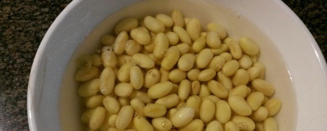 如何把干黄豆快速泡涨 干黄豆怎样快速泡涨