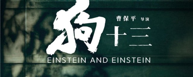 狗十三故事介绍 狗十三故事介绍是什么
