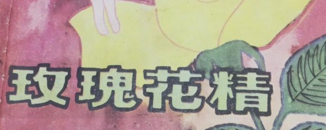 玫瑰花精讲的什么 玫瑰花精简单介绍