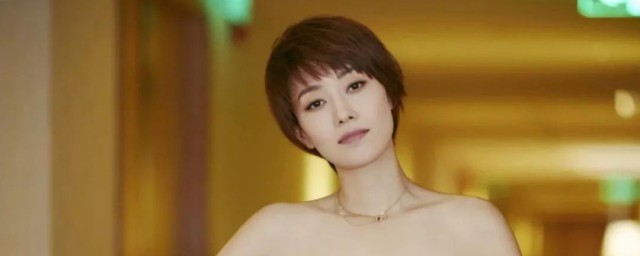 马伊琍作品及简介 马伊琍的资料