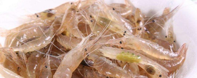小白米虾怎么清洗处理 小白米虾怎样处理干净