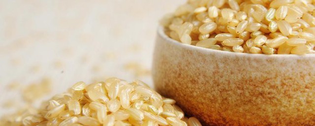 糙米饭的功效与禁忌 糙米饭的功效与禁忌简单介绍