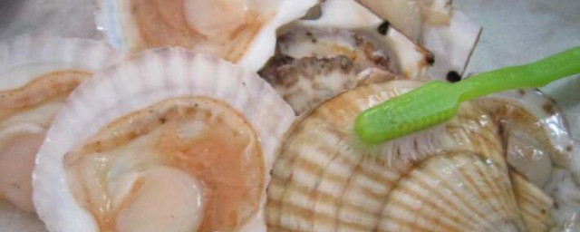 扇贝怎么去腥味 扇贝如何去腥味
