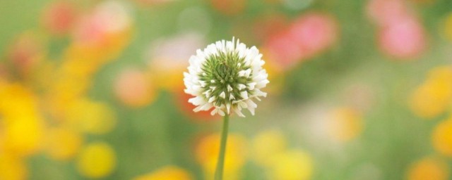 生活顺遂是什么意思 生活顺遂指的是什么
