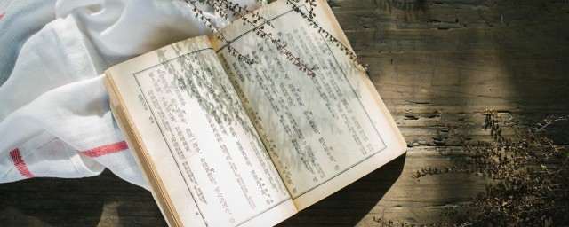 默读小说佳句 有关默读小说的句子简介