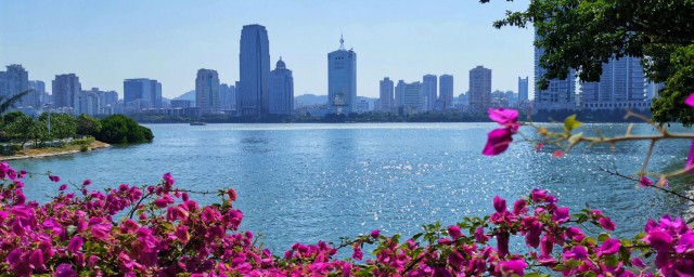 四季如春的城市有哪里 四个四季如春的城市介绍