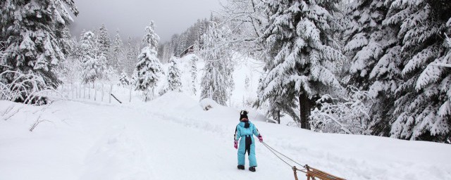 速降滑雪注意哪些事项 速降滑雪的注意事项