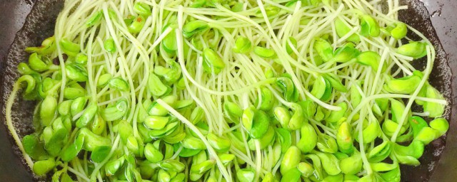 黑豆苗的做法步骤 黑豆苗的家常做法