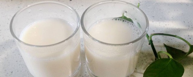 现磨黄豆豆浆的做法和配方 现磨黄豆豆浆怎么做