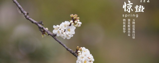 惊蛰怎么养生秘诀 惊蛰节气养生的办法