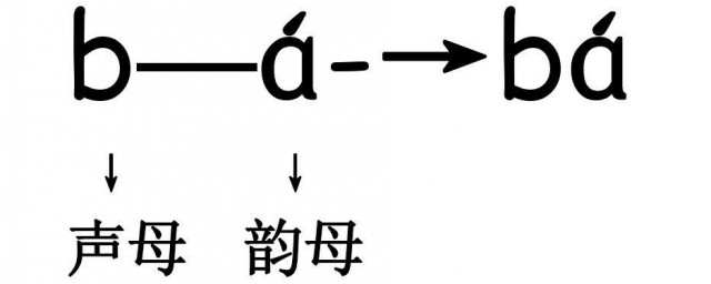 声母和韵母的区别 怎么区别声母和韵母