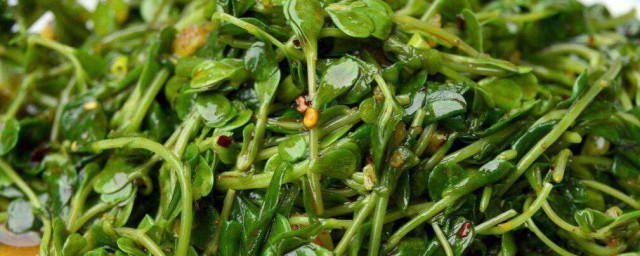 青青菜怎么吃 青青菜如何做好吃