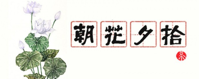 朝花夕拾的好词好句分段摘录 朝花夕拾中精妙好词好句分享