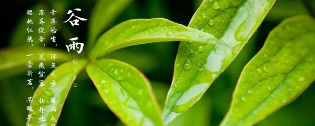 谷雨的来历 谷雨是怎么来的呢