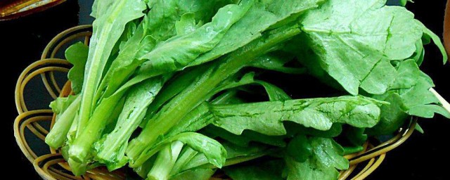 高钙菜是什么菜 高钙菜的介绍