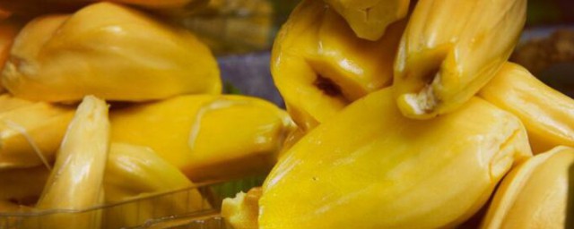 菠萝蜜核能种吗 菠萝蜜核能不能种