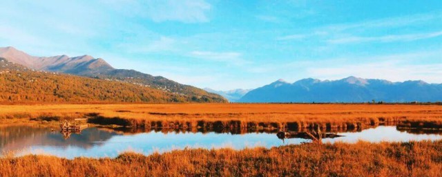 人间忽晚山河已秋意思 人间忽晚山河已秋的意思