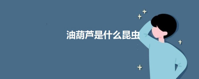 油葫芦是什么昆虫 关于油葫芦的介绍