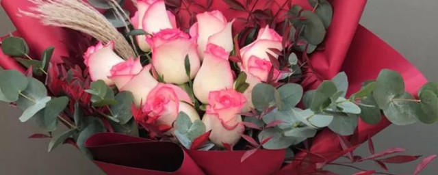 红袖玫瑰花语是什么 红袖玫瑰花语简介