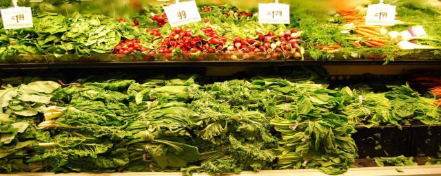 立夏前叶菜怎么保鲜 叶菜类蔬菜保鲜妙招分享