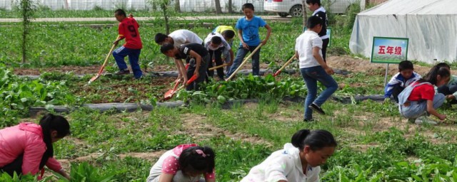 学校农场建设注意事项 学校农场建设有哪些注意事项