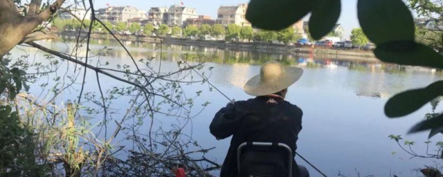 立夏前该怎样选钓位 立夏前选钓位的技巧