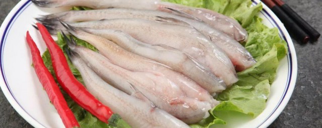 豆腐鱼怎么保存 豆腐鱼保存方法
