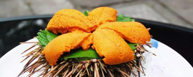 海胆刺身 海胆刺身怎么吃