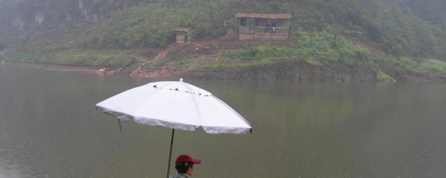 立夏雨天如何钓鱼 立夏雨天钓鱼的办法