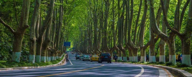 南京五一旅游最佳目的地 南京五一旅游地点推荐