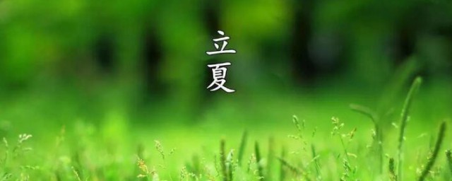 立夏种什么菜能上掤 立夏种哪些菜能上掤