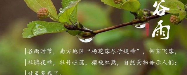 谷雨过后是夏天吗 谷雨是什么季节